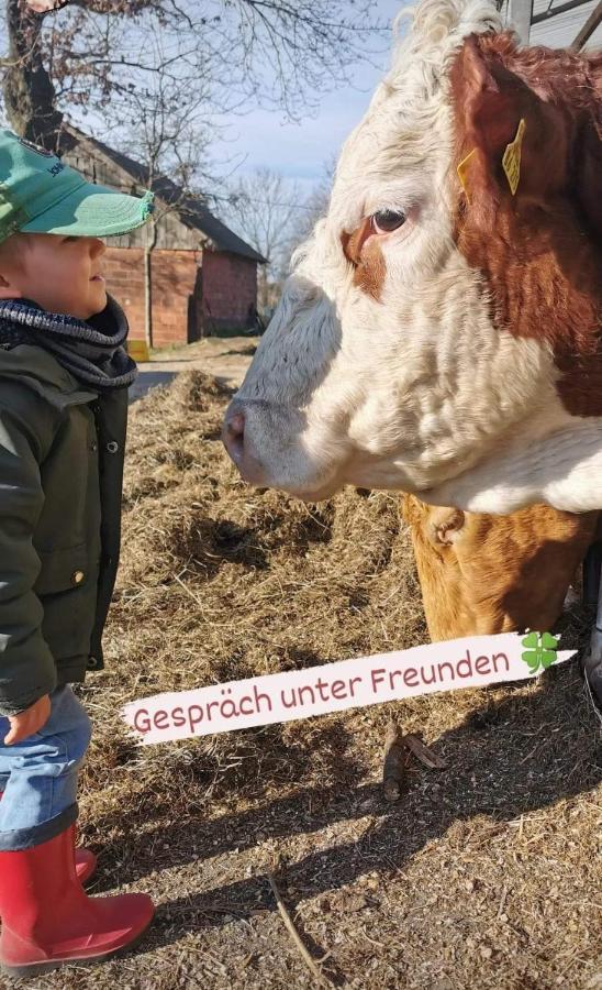 Hof Schumacher Kruzen Buitenkant foto